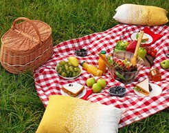 Piknik Alanları